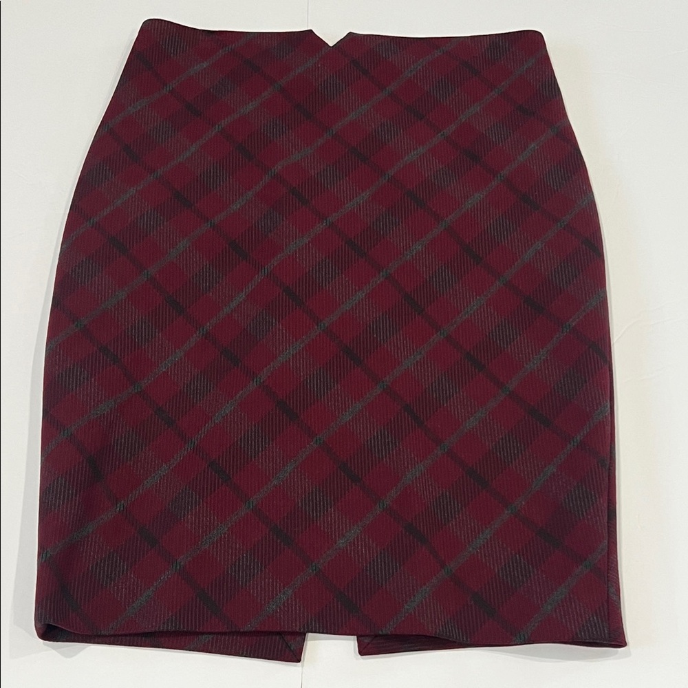Express Skirt
